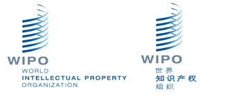 盛陽淺談：WIPO是什么？其主要職責(zé)是什么？