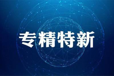 “專精特新”企業(yè)如何布局高質(zhì)量專利申請！?